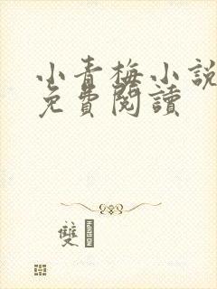 小青梅小说全文免费阅读