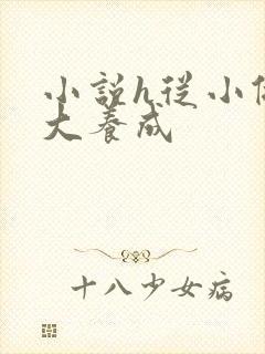 小说h从小做到大养成