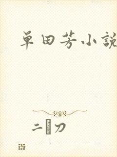 单田芳小说