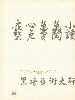 夜心万万小说完整免费阅读全文