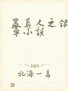 蛊真人之银邪魔尊小说