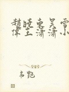 赵晓东吴雪晴郑伟王潇潇小说