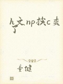 h文np挨c爽了