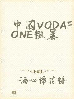 中国VODAFONE粗暴