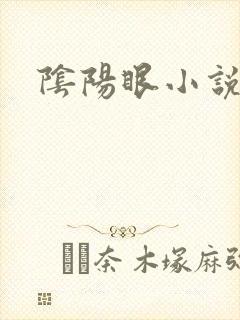 阴阳眼小说