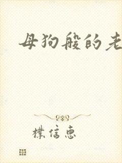 母狗般的老师封面
