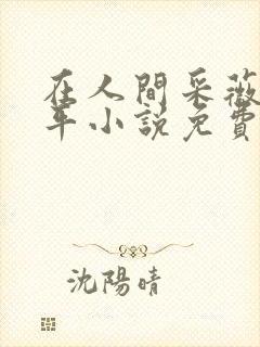 在人间采薇陆三平小说免费阅读