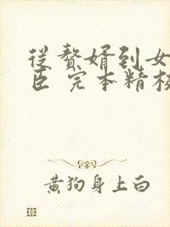 从赘婿到女帝宠臣 完本精校版txt封面