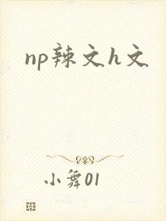 np辣文h文