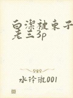 白洁被东子老二老三3p
