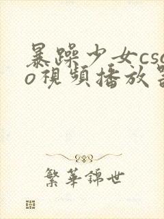 暴躁少女csgo视频播放器推荐