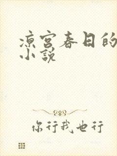 凉宫春日的忧郁小说