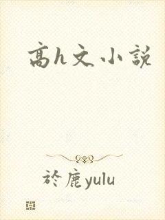 高h文小说