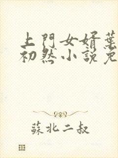 上门女婿叶辰萧初然小说免费阅读无弹窗