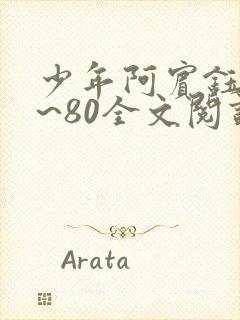 少年阿宾钰慧1~80全文阅读目录封面