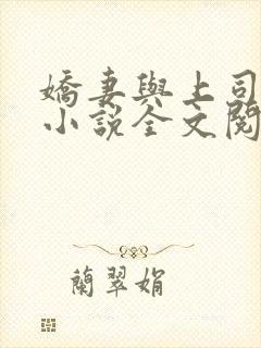 娇妻与上司韩燕小说全文阅读封面