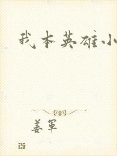 我本英雄小说