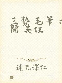 玉势 毛笔 撑开 夹住