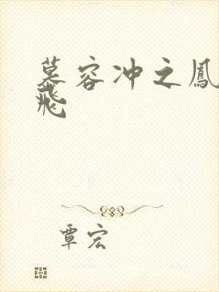 慕容冲之凤凰于飞封面