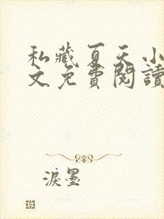 私藏夏天小说全文免费阅读笔趣阁