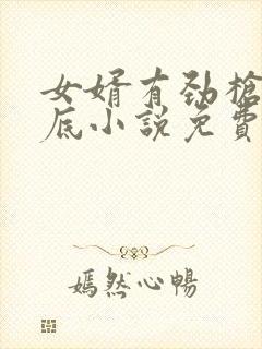 女婿有劲枪枪到底小说免费看封面