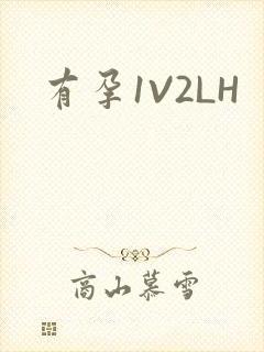 有孕1V2LH