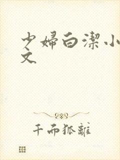 少妇白洁小说全文