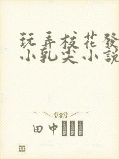 玩弄校花发育的小乳尖小说