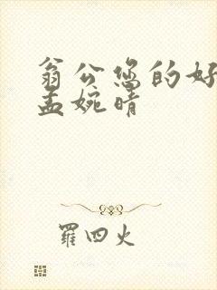 翁公您的好长呀孟婉晴封面