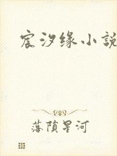 宸汐缘小说封面