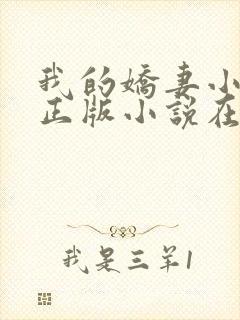 我的娇妻小欣儿正版小说在线阅读