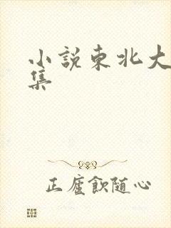 小说东北大炕全集