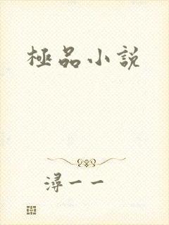 极品小说