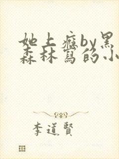 她上瘾by黑暗森林写的小说免费阅读无弹窗封面