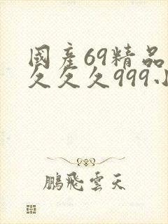 国产69精品久久久久999小说