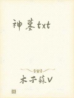 神墓txt