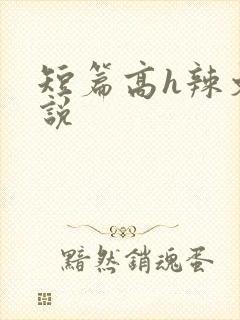 短篇高h辣文小说封面