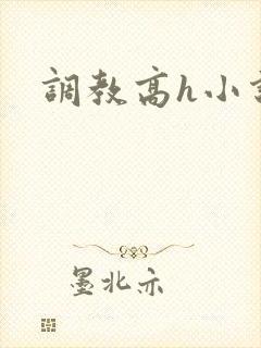调教高h小说封面