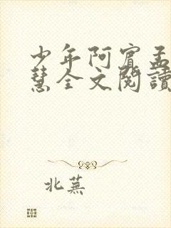 少年阿宾孟卉钰慧全文阅读