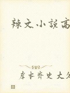 辣文小说高h封面