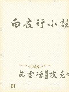 白夜行小说下载