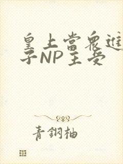 皇上当众进入太子NP主受