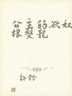 公主的欲奴h四根双龙