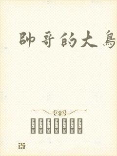 帅哥的大鸟
