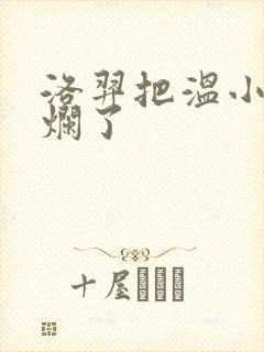 洛羿把温小辉做烂了