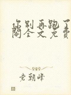 你别再跑了笔趣阁全文免费阅读无弹窗封面