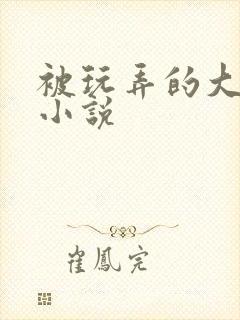 被玩弄的大小姐小说