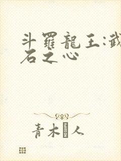 斗罗龙王:武魂石之心