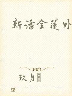 新潘金莲外传封面