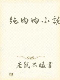 纯肉肉小说